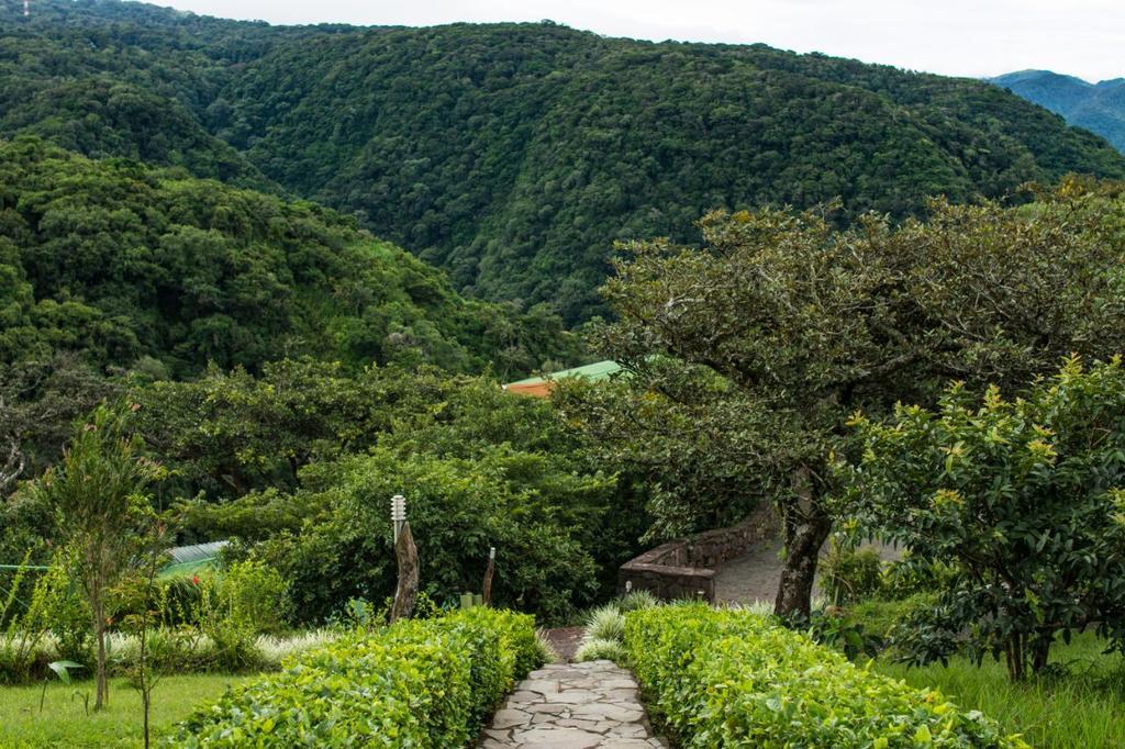 Rainbow Valley Lodge Costa Rica Monteverde Dış mekan fotoğraf